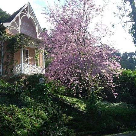 Villa Violeta Petrópolis Eksteriør billede