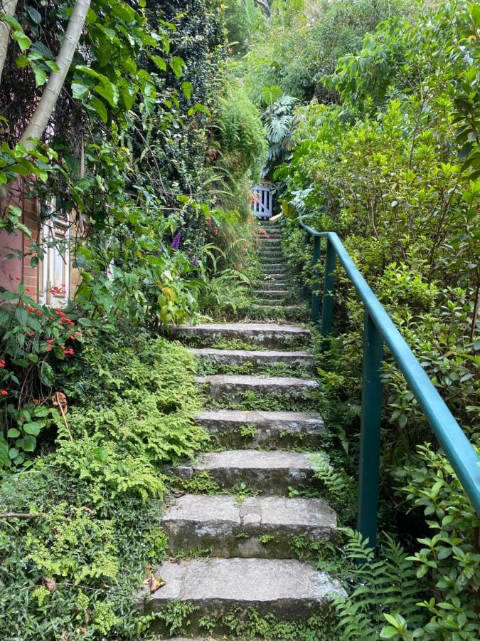Villa Violeta Petrópolis Eksteriør billede