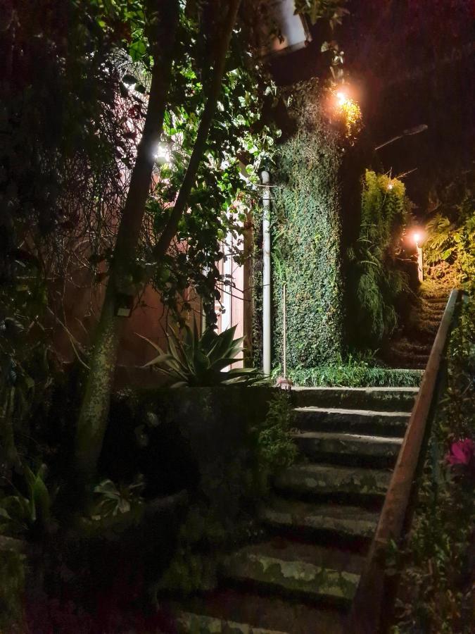 Villa Violeta Petrópolis Eksteriør billede
