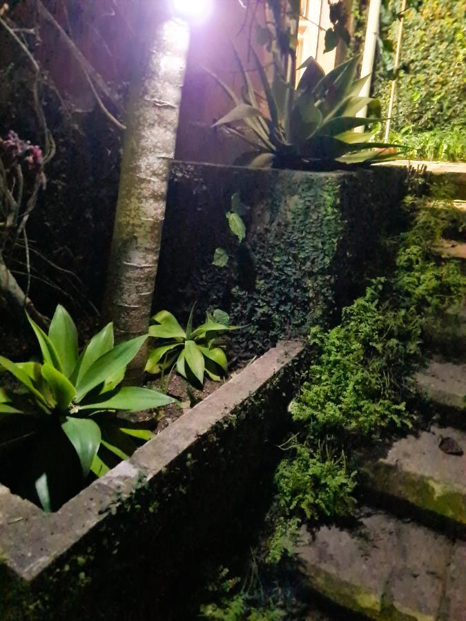 Villa Violeta Petrópolis Eksteriør billede