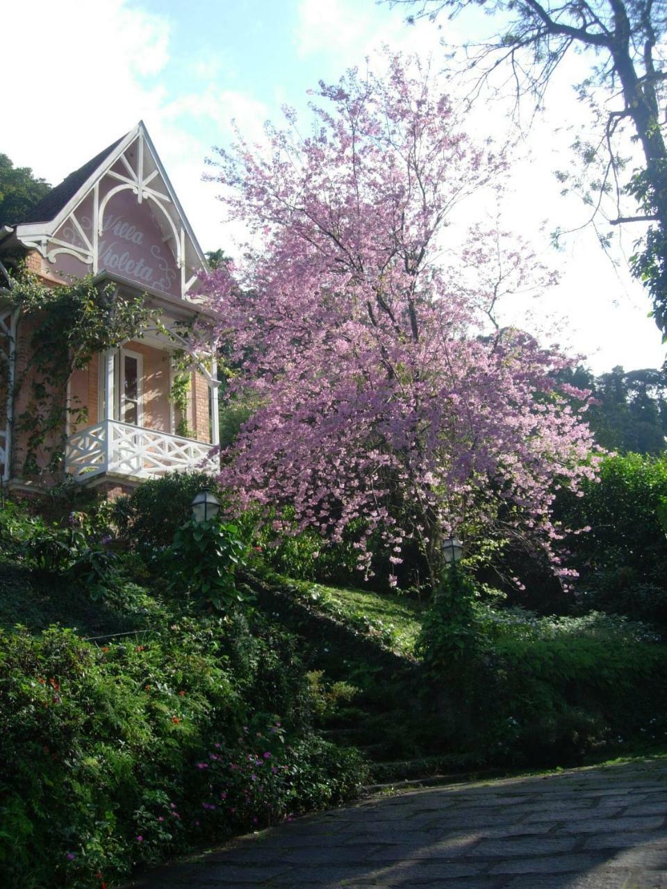 Villa Violeta Petrópolis Eksteriør billede