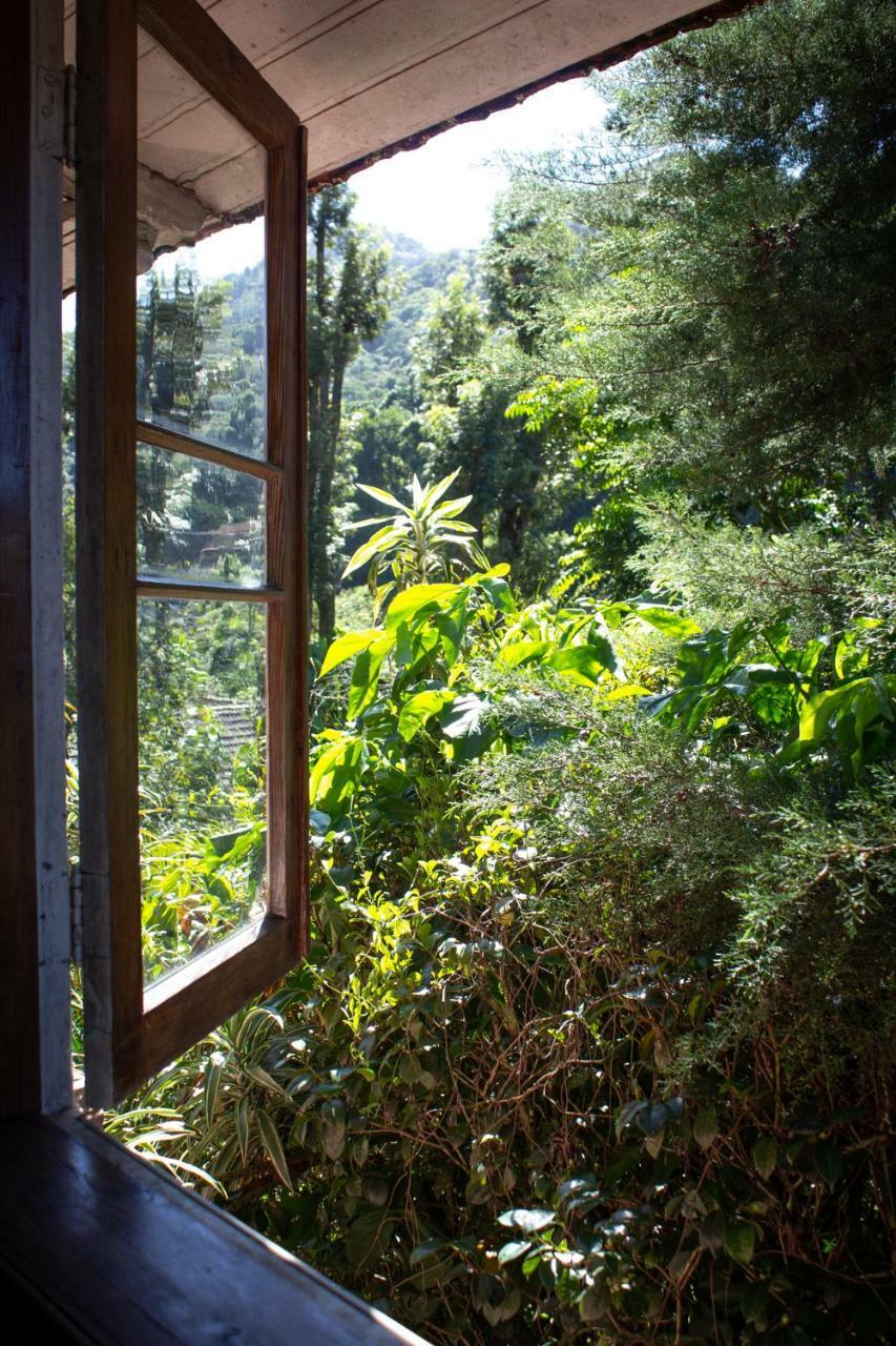 Villa Violeta Petrópolis Eksteriør billede